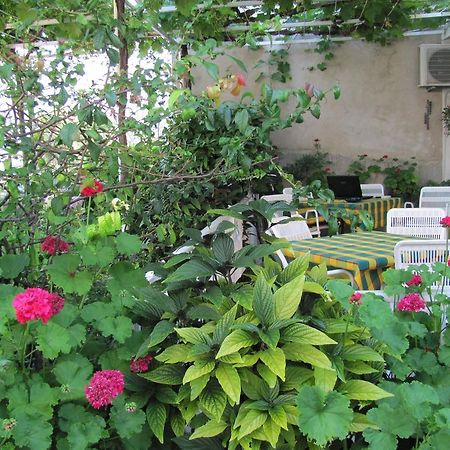 Guesthouse Marija Cavtat Quarto foto